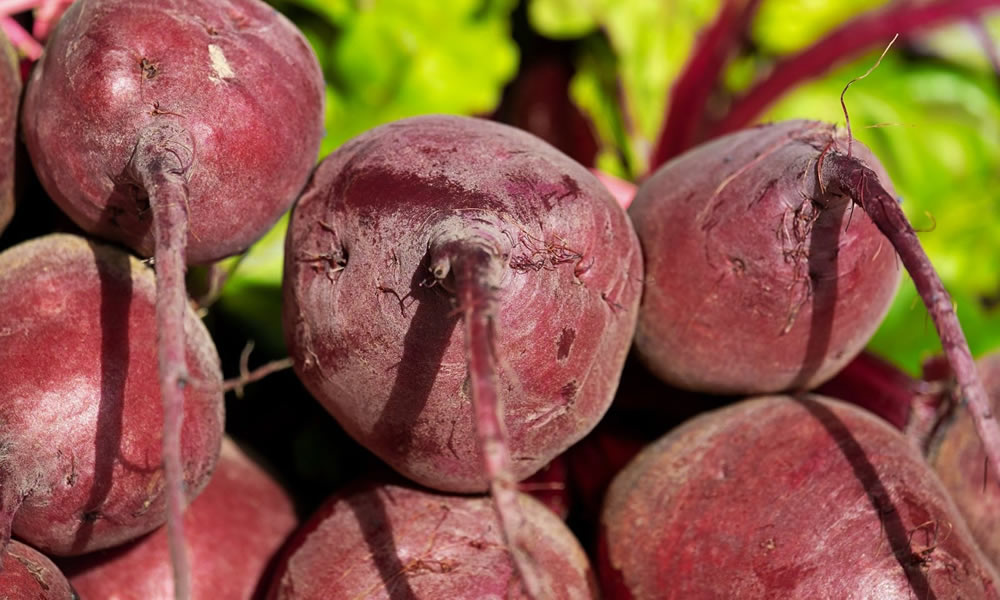 Betterave