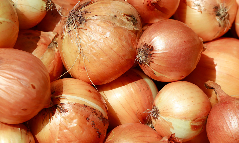 Oignons jaunes