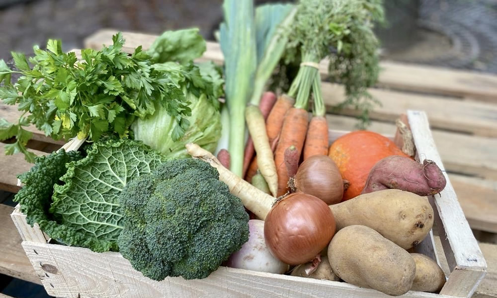 Panier de légumes